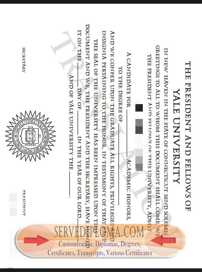 How Fast Can You Buy a Fake Yale University Degree? - 专业证书