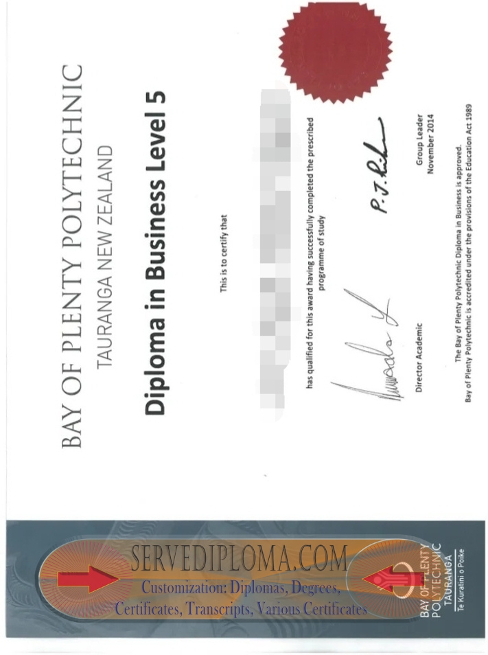 Is It Possible to Buy a Fake Bay of Plenty Polytechnic Degree? - 专业证书