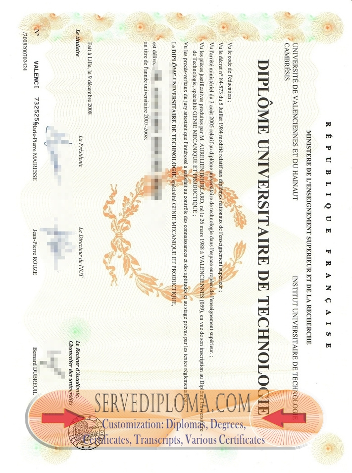 Best Fake Université de Valenciennes et du Hainaut Cambrésis Diploma: How to Get It Verified - 专业证书