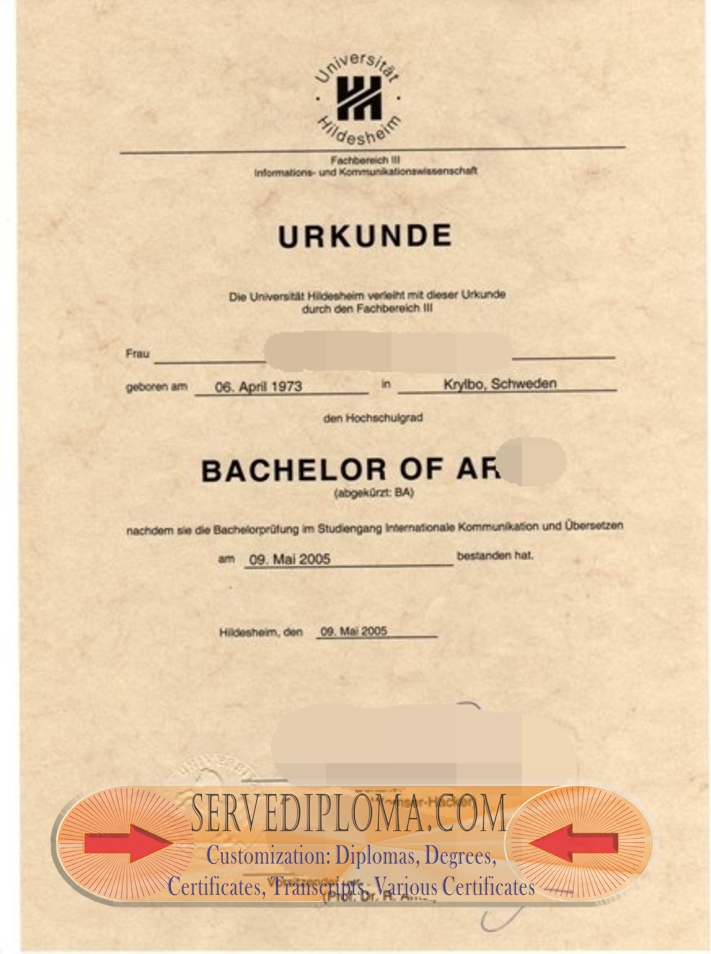 How to Copy a Fake Universitat Hildesheim Diploma: A Step-by-Step Guide - 专业证书