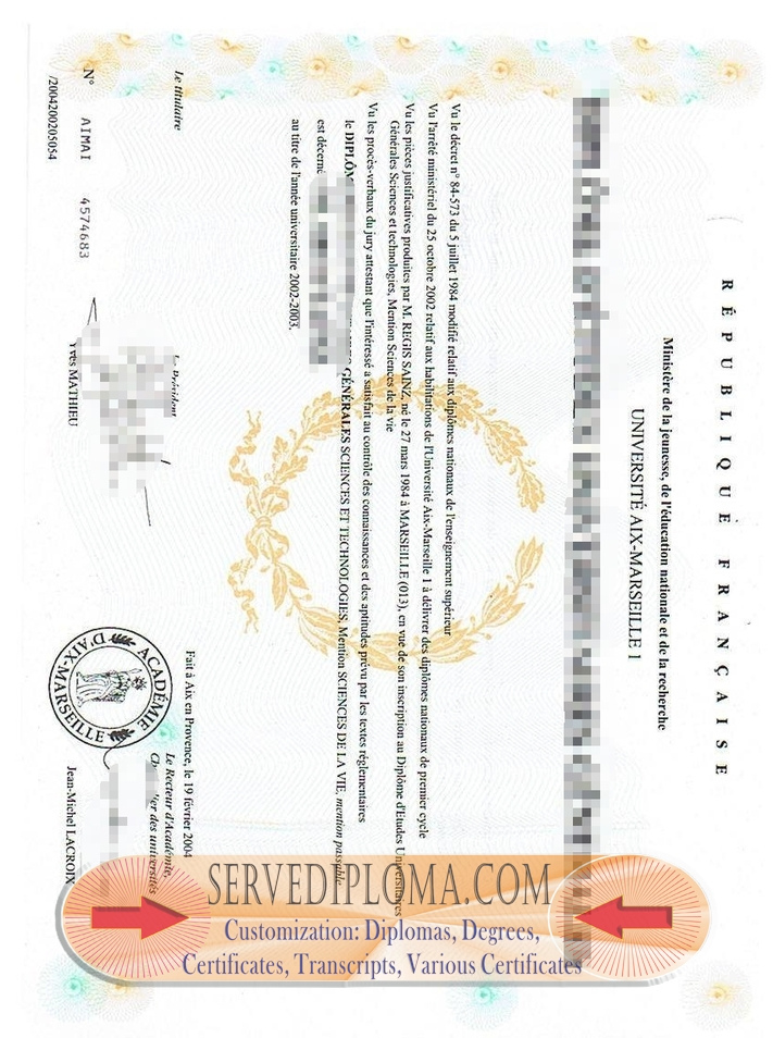 How to Create a Fake Université Aix-Marseille I Diploma - 专业证书