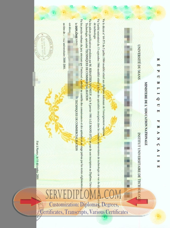 Replica 'L'UNIVERSITÉ DU MAINE Diploma': A Comprehensive Guide - 专业证书