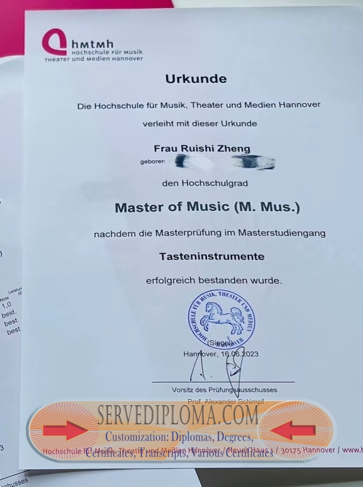 Rustom at Hochschule für Musik, Theater und Medien Hannover: A Journey to Excellence - 专业证书