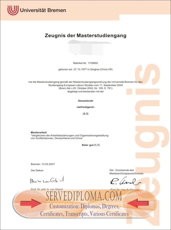 Unlocking Opportunities: The Rustom University of Bremen Degree - 专业证书