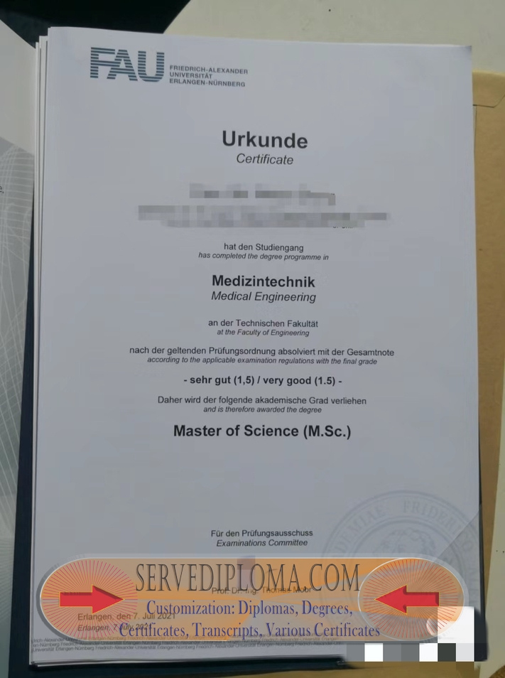 Rustom University of Erlangen Nuremberg: A Path to Academic Excellence - 专业证书