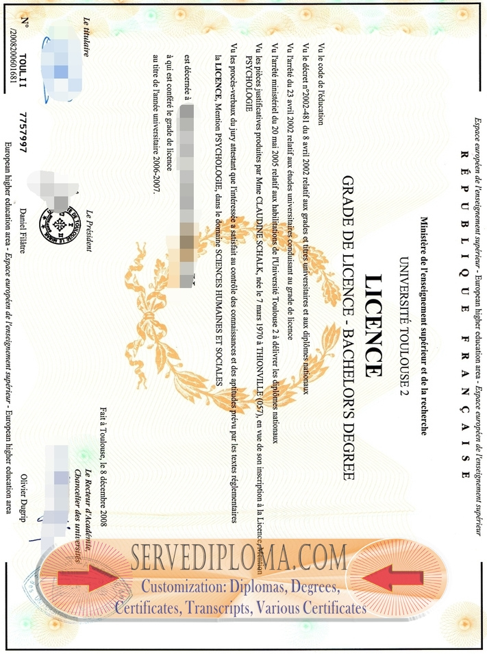 Rustom University Toulouse 2: Diploma and Its Significance - 专业证书