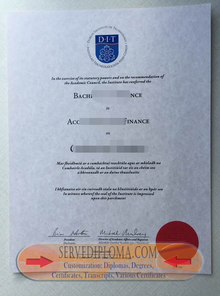 Rustom Technological University: A Path to Success with DIT Diploma - 专业证书