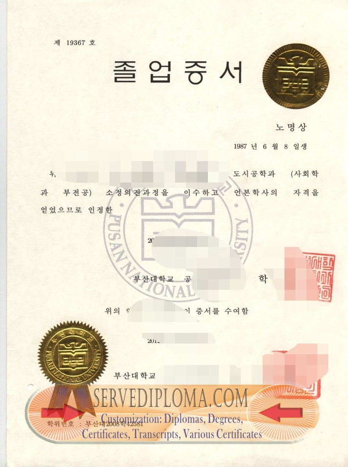 How to Copy and Make a Fake Pusan National University Diploma - 专业证书