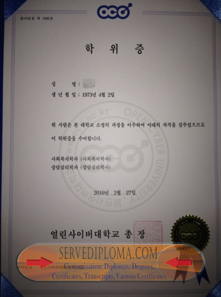Replica Open Cyber University Diploma: Your Gateway to Digital Success - 专业证书