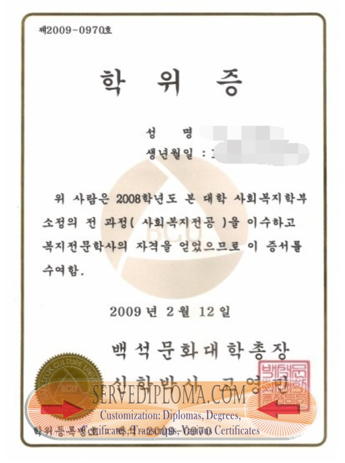 Rustom Baekseok: A Journey to Culture and University Degree - 专业证书