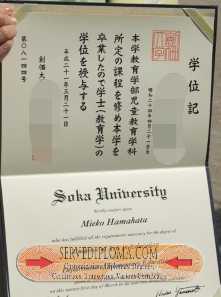 Rustom Soka University Degree: A Path to Academic and Professional Success - 专业证书