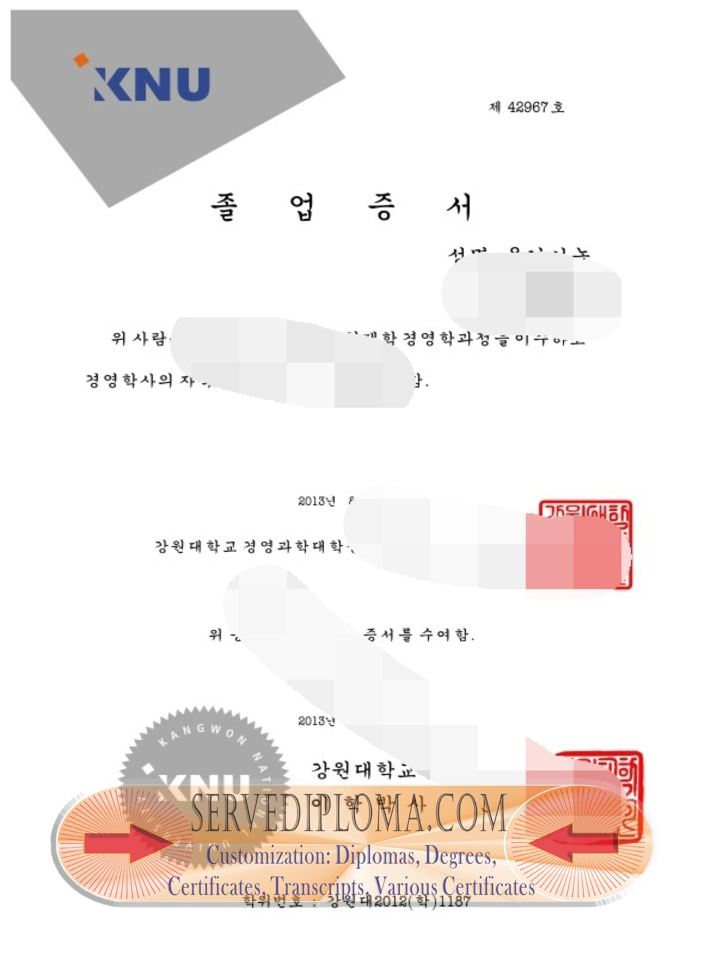 The Steps to Buy a Fake Kangwon National University Diploma - 专业证书