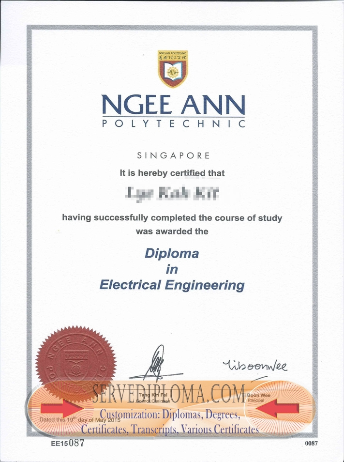 Best Fake Ngee Ann Polytechnic Diploma: Why It’s Worth the Investment - 专业证书