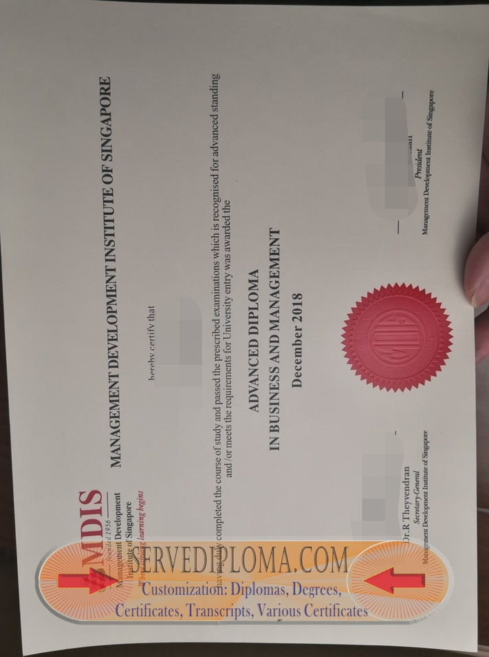 Purchase Fake MDIS Diploma: Is It Worth the Risk? - 专业证书
