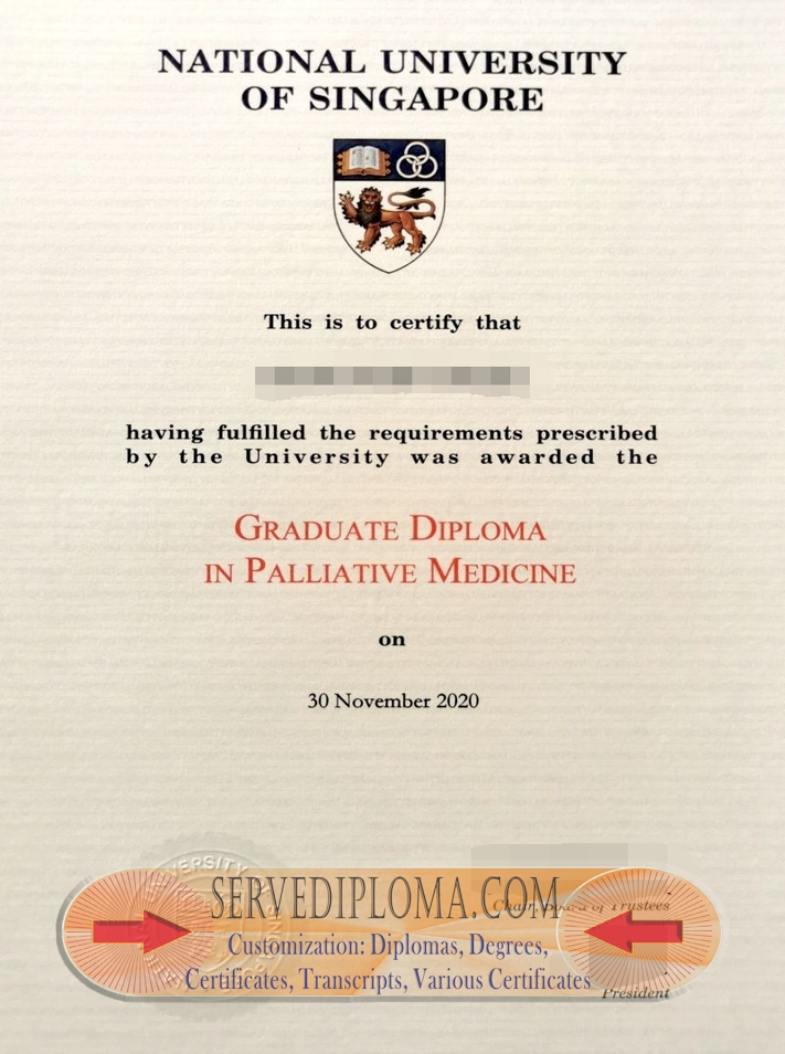 The Steps to Buy a Fake 2020 National University of Singapore Degree - 专业证书