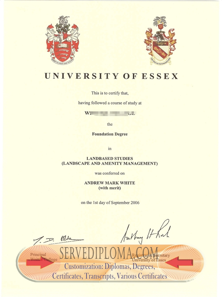 Purchase Fake mWrittle College Degree: Is It Worth the Risk? - 专业证书