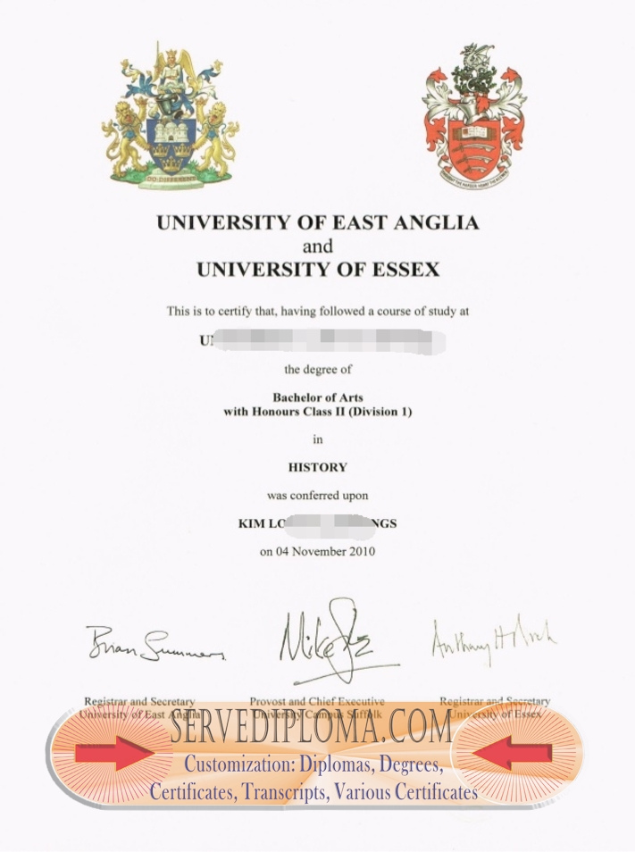 Rustom: Exploring the Degrees at UNIVERSITY OF EAST ANGLIA and UNIVERSITY OF ESSEX - 专业证书